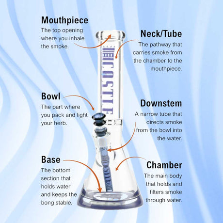 The Parts of a Bong: Every Piece Labeled & Explained