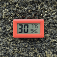 Digital Hygrometer - 6 pack on green leaves, displaying temperature and humidity; compact design with clear LCD for accurate monitoring in various storage solutions.