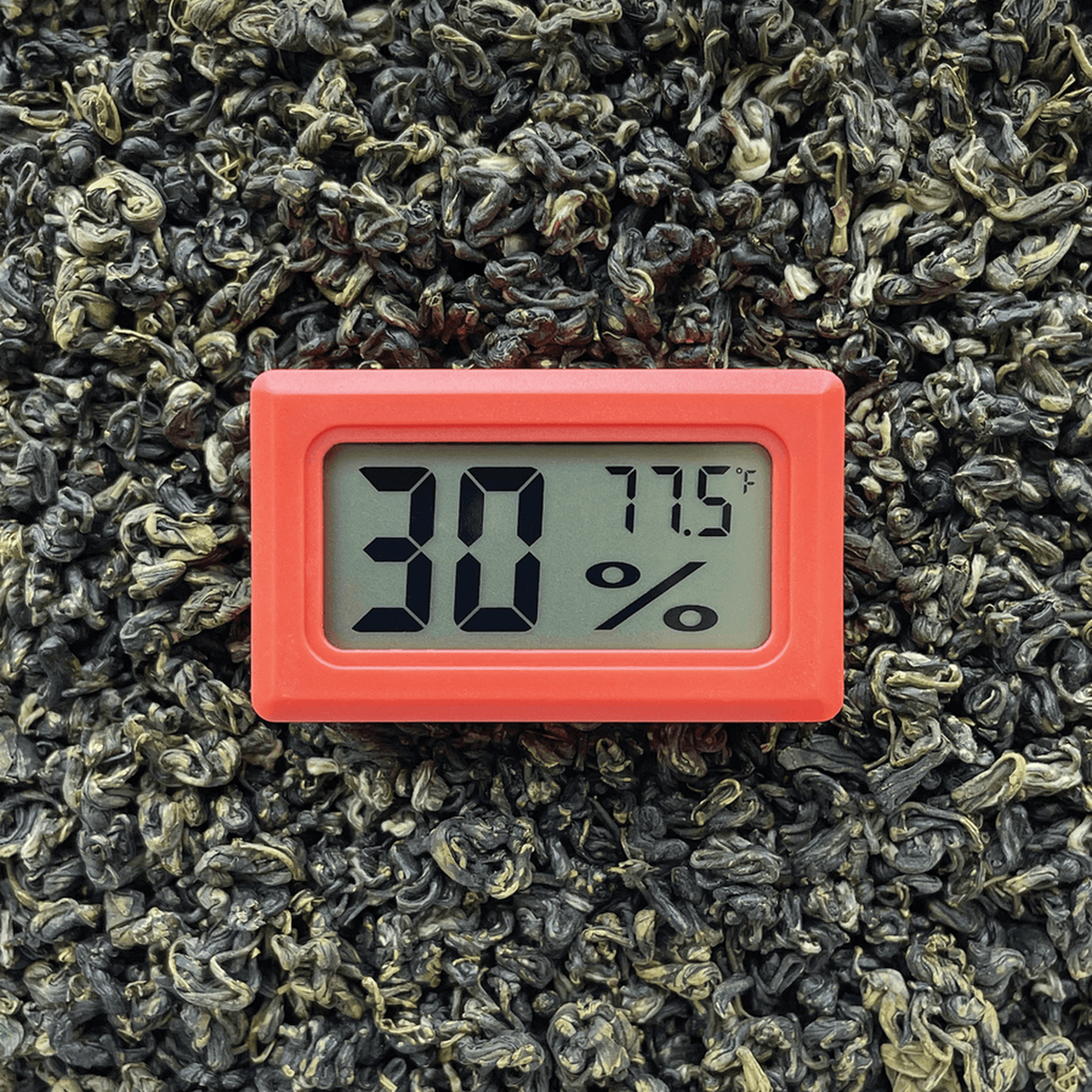 Digital Hygrometer - 6 pack on green leaves, displaying temperature and humidity; compact design with clear LCD for accurate monitoring in various storage solutions.